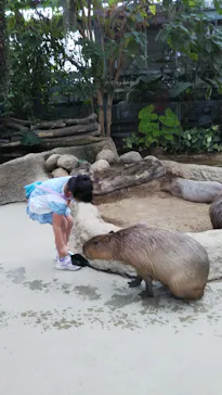 神戸どうぶつ王国に投稿された画像（2022/8/5）