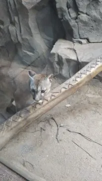 神戸どうぶつ王国に投稿された画像（2022/8/5）