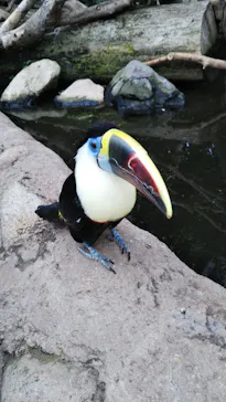 神戸どうぶつ王国に投稿された画像（2022/8/5）