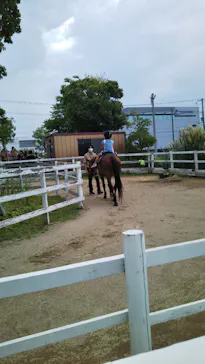 神戸どうぶつ王国に投稿された画像（2022/8/5）