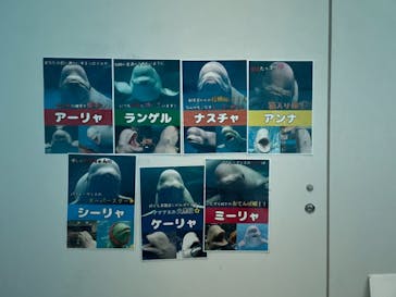 島根県立 しまね海洋館に投稿された画像（2022/8/6）