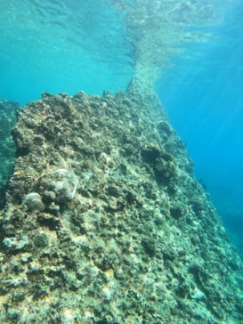 沖縄マリンサービス碧に投稿された画像（2022/8/6）