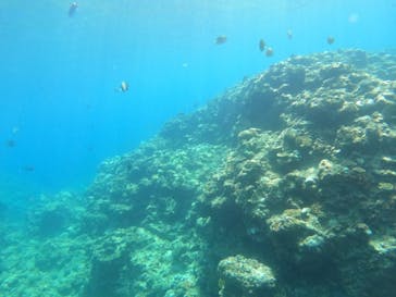 沖縄マリンサービス碧に投稿された画像（2022/8/6）