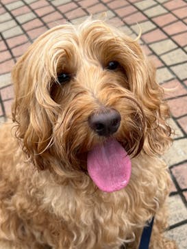 那須高原りんどう湖ファミリー牧場に投稿された画像（2022/8/6）