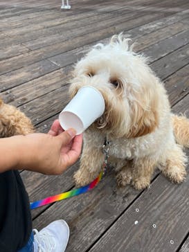 那須高原りんどう湖ファミリー牧場に投稿された画像（2022/8/6）