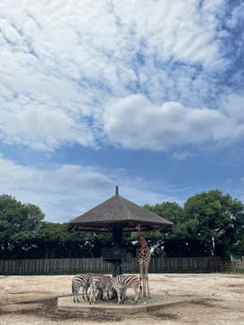 東武動物公園に投稿された画像（2022/8/6）