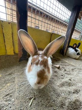 那須サファリパークに投稿された画像（2022/8/6）