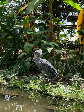 神戸どうぶつ王国に投稿された画像（2022/8/6）