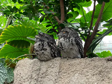 神戸どうぶつ王国に投稿された画像（2022/8/6）