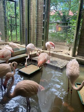 ネオパークオキナワに投稿された画像（2022/8/6）