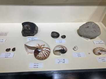 ネオパークオキナワに投稿された画像（2022/8/6）