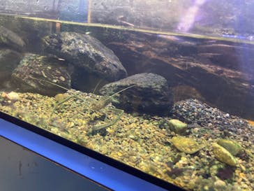 ネオパークオキナワに投稿された画像（2022/8/6）