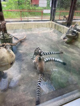 ネオパークオキナワに投稿された画像（2022/8/6）