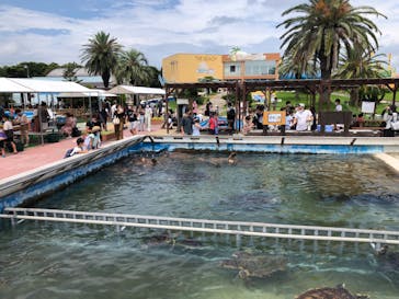 南知多ビーチランド＆南知多おもちゃ王国に投稿された画像（2022/8/6）