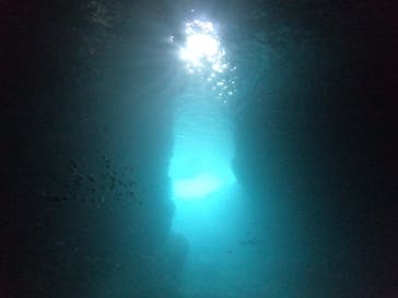 武藤潜水に投稿された画像（2022/8/6）