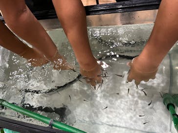 淡路ファームパーク イングランドの丘に投稿された画像（2022/8/6）