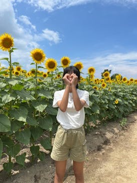 淡路ファームパーク イングランドの丘に投稿された画像（2022/8/6）