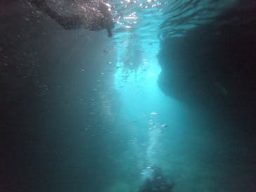 武藤潜水に投稿された画像（2022/8/6）