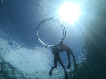 武藤潜水に投稿された画像（2022/8/6）