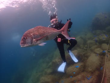 伊豆ぐらんぱる公園に投稿された画像（2022/8/6）