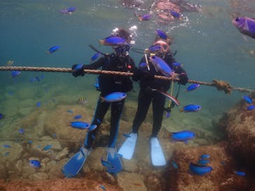 伊豆ぐらんぱる公園に投稿された画像（2022/8/6）