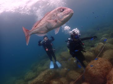 伊豆ぐらんぱる公園に投稿された画像（2022/8/6）