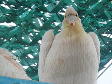 サンシャイン水族館に投稿された画像（2022/8/6）