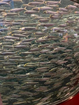 株式会社Gに投稿された画像（2022/8/6）