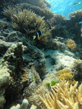 Sea World（シーワールド）に投稿された画像（2022/8/6）