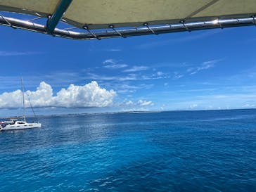 Sea World（シーワールド）に投稿された画像（2022/8/6）