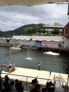 伊豆・三津シーパラダイスに投稿された画像（2022/8/6）