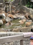 伊豆シャボテン動物公園に投稿された画像（2022/8/6）