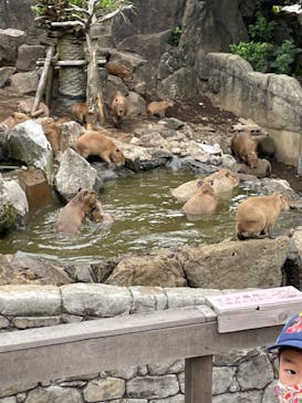 伊豆シャボテン動物公園に投稿された画像（2022/8/6）