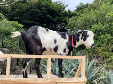 伊豆シャボテン動物公園に投稿された画像（2022/8/6）