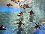 すみだ水族館に投稿された画像（2022/8/6）