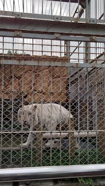 東武動物公園に投稿された画像（2022/8/6）