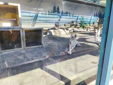 天王寺動物園に投稿された画像（2022/8/6）