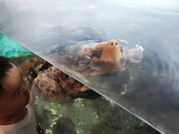 天王寺動物園に投稿された画像（2022/8/6）