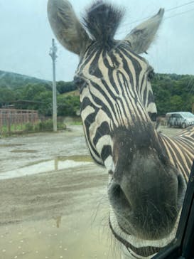 東北サファリパークに投稿された画像（2022/8/6）