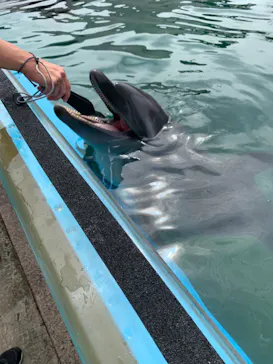 横浜・八景島シーパラダイスに投稿された画像（2022/8/6）