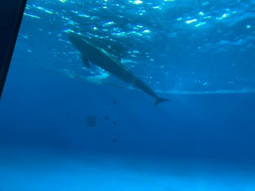 アクアワールド茨城県大洗水族館に投稿された画像（2022/8/6）