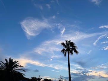 南知多ビーチランド＆南知多おもちゃ王国に投稿された画像（2022/8/6）