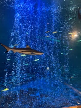 南知多ビーチランド＆南知多おもちゃ王国に投稿された画像（2022/8/6）