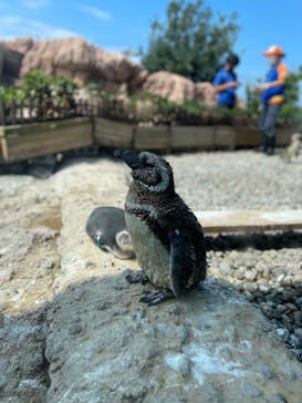 上越市立水族博物館 うみがたりに投稿された画像（2022/8/6）
