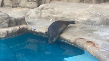 マリンワールド海の中道に投稿された画像（2022/8/6）