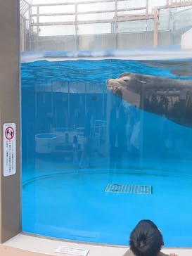 サンシャイン水族館に投稿された画像（2022/8/6）