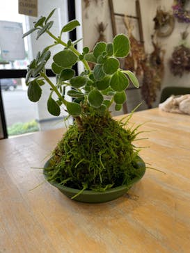 つぐみ工房に投稿された画像（2022/8/6）