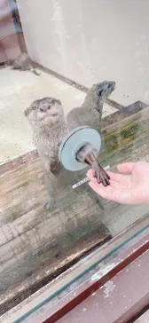 横浜・八景島シーパラダイスに投稿された画像（2022/8/6）