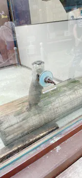 横浜・八景島シーパラダイスに投稿された画像（2022/8/6）