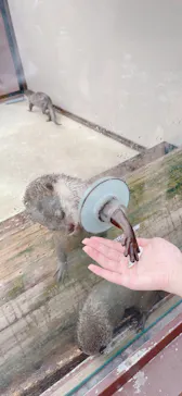 横浜・八景島シーパラダイスに投稿された画像（2022/8/6）